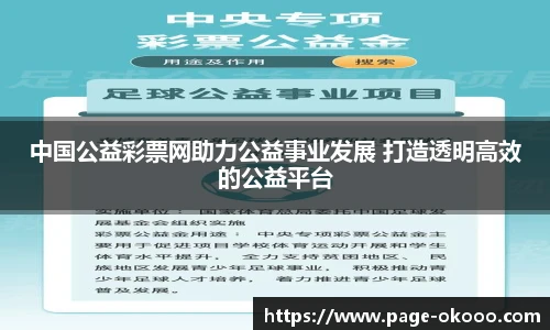 中国公益彩票网助力公益事业发展 打造透明高效的公益平台