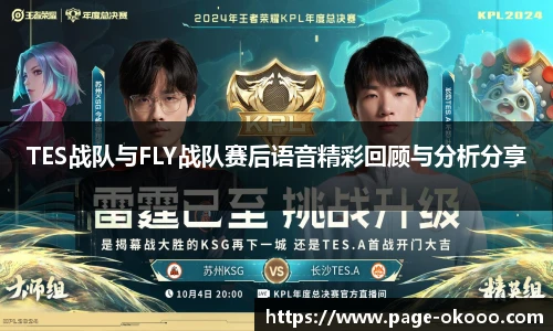 TES战队与FLY战队赛后语音精彩回顾与分析分享