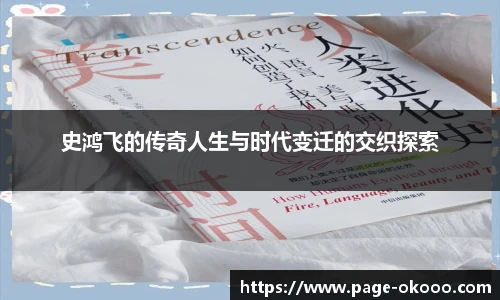 史鸿飞的传奇人生与时代变迁的交织探索